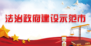 法治政府建設(shè)示范市”